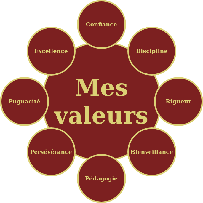 Mes valeurs : confiance, discipline, rigueur, bienveillance,pédagogie,persévérance,pugnacité,excellence
